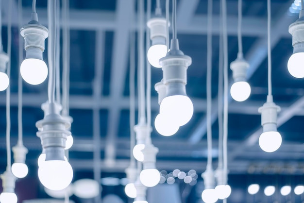 LED Light Bulbs