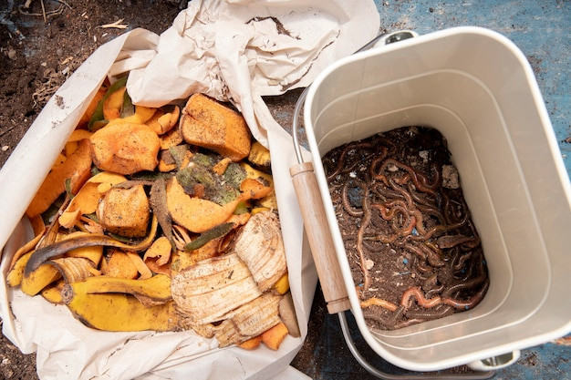 Compost Bin