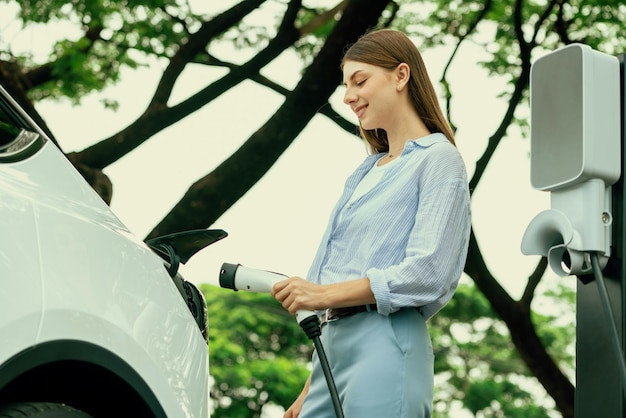 Electric Vehicles (EVs)