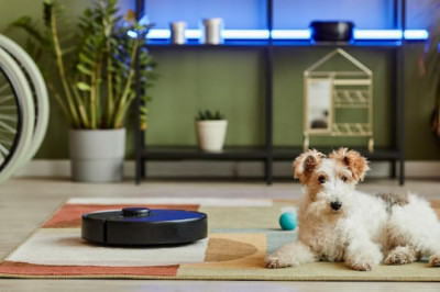 How Your Puppy and Cleaning Robot Can Become Best Friends